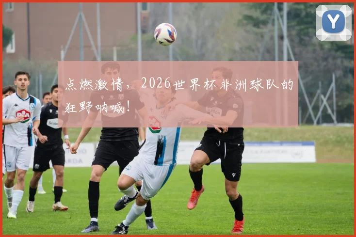 点燃激情，2026世界杯非洲球队的狂野呐喊！