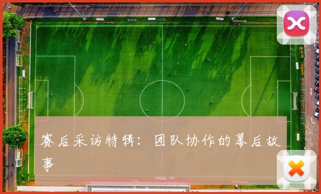 赛后采访特辑：团队协作的幕后故事