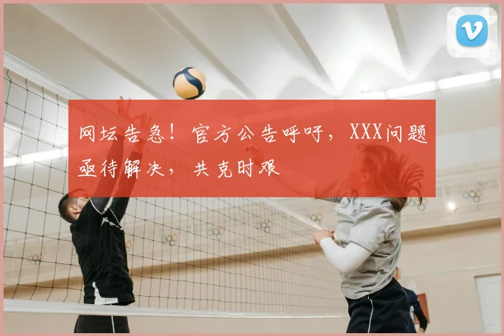 网坛告急！官方公告呼吁，XXX问题亟待解决，共克时艰