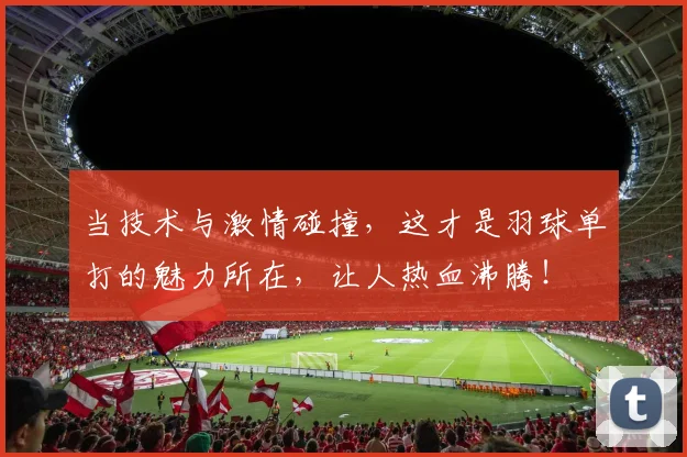 当技术与激情碰撞，这才是羽球单打的魅力所在，让人热血沸腾！