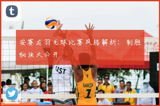 安赛龙羽毛球比赛风格解析：制胜秘诀大公开
