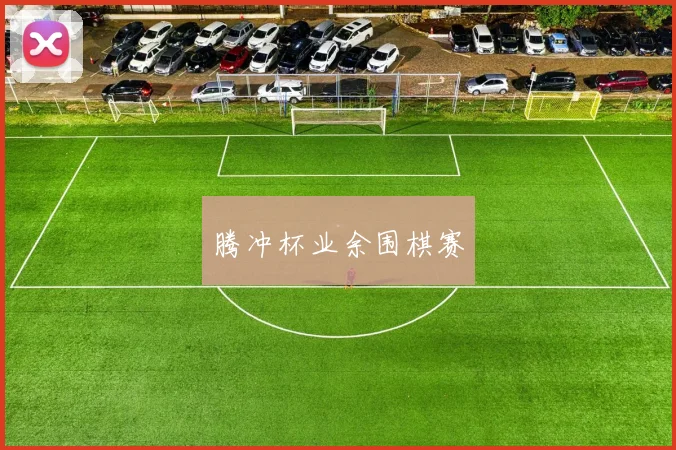 腾冲杯业余围棋赛