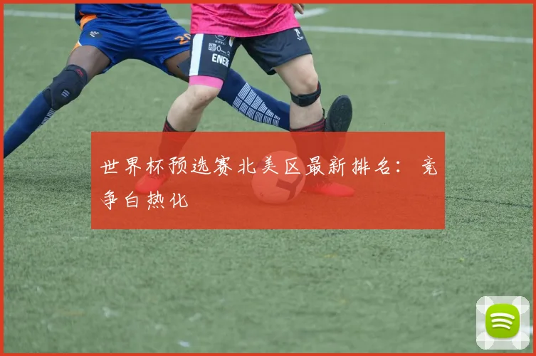 世界杯预选赛北美区最新排名:竞争白热化