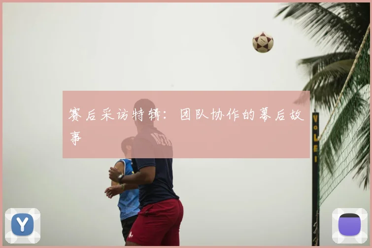 赛后采访特辑：团队协作的幕后故事
