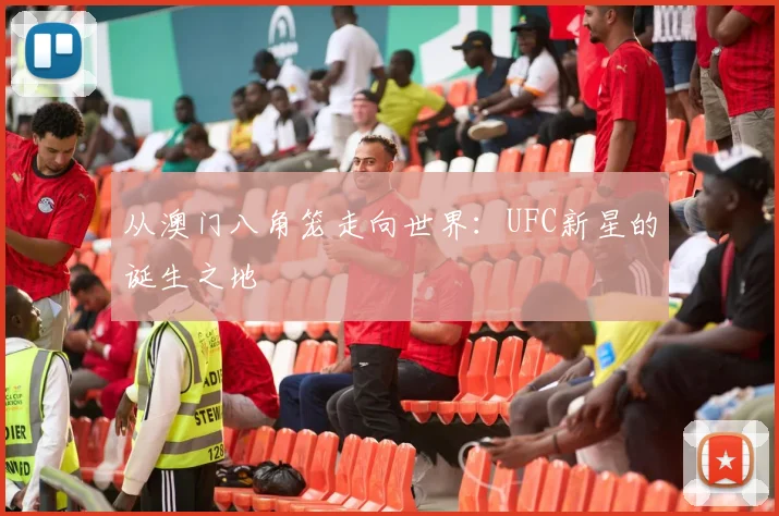 从澳门八角笼走向世界：UFC新星的诞生之地